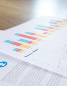 Digital Marketing Company Bali